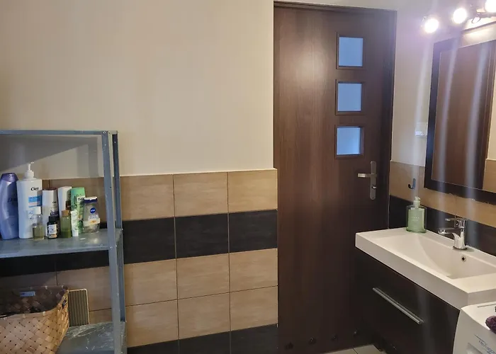 Centre Apartment Posen