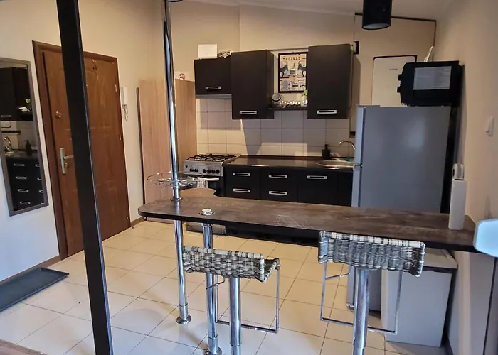 Centre Apartment Posen